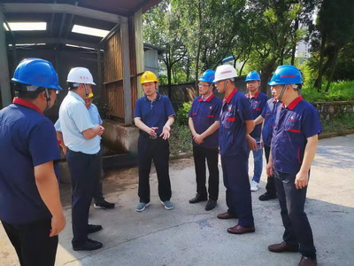 集团公司副总经理到公司督察环保管理工作 集团公司副总经理到公司督察环保管理工作