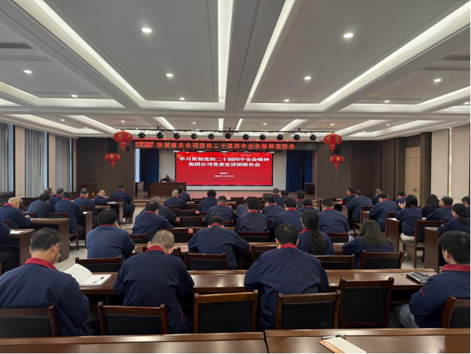 公司召开学习贯彻党的二十届四中全会精神宣讲会
